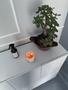 Imagem de Home spray Peônia 200ml vidro