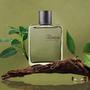 Imagem de HOMEM AROMATICOS 100ml - NATURA