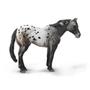 Imagem de Horse Breyer Appaloosa Blue Roan