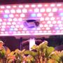 Imagem de Horta Inteligente autoirrigável para microverdes com iluminação LED