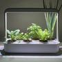 Imagem de horta Inteligente hortaliças plantar temperos plante de maneira fácil  sementes vaso cozinha 