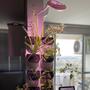 Imagem de Horta Vertical Inteligente autoirrigável com 8 vasos e iluminação LED