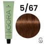 Imagem de Igora Zero Amm 5/67 Castanho Claro Marrom Cobre 60 ml