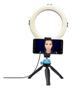 Imagem de Iluminador Led Ring Light 20 cm 8 Polegadas Com Tripé de Mesa e Suporte de Celular 3 Tons de Luz