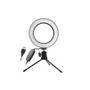 Imagem de Iluminador Ring Ligth Anel Luz 20cm C/ Tripé 20cm t