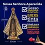 Imagem De Nossa Senhora Aparecida Gesso Dourada 22cm nossasenhoraaparecida ouro velho Estilo Barroco Decoração Bronze - Divinário Imagem de Imagem De Nossa Senhora Aparecida Gesso Dourada 22cm nossasenhoraaparecida ouro velho Estilo Barroco Decoração Bronze