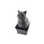 Imagem de Imagem Gato Na Caixa Decoração 3D Home Office Preto