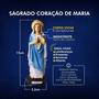 Imagem de Imagem Sagrado Coração De Maria Em Resina 15cm