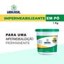 Imagem de Impermeabilizante Permanente Hidrofugante Em Pó Balde 1kg Para Massas Concretos Laje