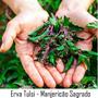 Imagem de Incenso De Massala Sri Tulsi