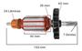 Imagem de Induzido Rotor Para Martelete Bosch 11253 / GBH 2-26 220v