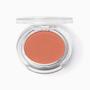 Imagem de Inglot Radiant Skin Blush Compacto Matte 29 2G