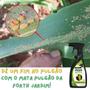 Imagem de Inseticida Forth Mata Pulgão Pronto Uso Em Plantas 500ml