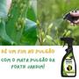 Imagem de Inseticida Forth Mata Pulgão Pronto Uso Em Plantas 500ml