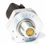 Imagem de Interruptor de Pressão do Óleo Audi A6 A8 Q7 R8 RS4 RS6 S5 S6 S8 Cayenne Phaneton Touareg - 3RHO - 3RHO3364