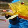 Imagem de Isca Artificial M-Action 15 Monster 3x + Anzol Offset by Maicon Bianchi