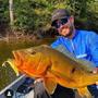 Imagem de Isca Artificial M-Action 15 Monster 3x + Anzol Offset by Maicon Bianchi
