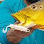 Imagem de Isca Artificial Soft Monster 3X E-Shad Soft Bass 15cm com 2 Unidades