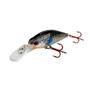 Imagem de Isca Marine Sports Raptor Shad 70 / 7cm 8g