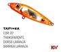 Imagem de Isca Tapinha da Kv Artificial Stick Zara Superfície Kit c/3