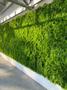 Imagem de Jardim vertical permanente planta artificial 25cm x 25cm decoração de ambientes paredes