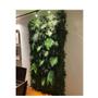 Imagem de Jardim Vertical Preservado Natural Gifts 1m x 50cm Verde