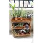 Imagem de Jardineira de chão, suporte para plantas, floreira madeira P13
