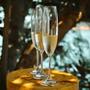 Imagem de Jogo 6 Taças De Champagne Bohemia Cristal Titanium 220ml