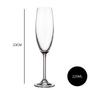 Imagem de Jogo 6 Taças de Cristal para Champagne Flute 220ml - Collection Sylvia