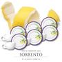 Imagem de Jogo 6 Xícaras De Café 80ml Sorrento - Alleanza