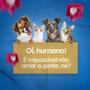 Imagem de Jogo Americano Para Cachorros Mabuu Pet - Azul com Linhas