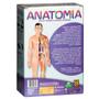 Imagem de Jogo Anatomia Grow
