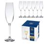 Imagem de Jogo de 6 Taças para Champanhe Cristal Ecológico Gastro 220ml - Bohemia
