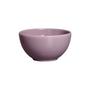 Imagem de Jogo De Jantar Decorado Flores 12 Pcs Bowls Malva 1 Linha