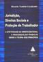 Imagem de Jurisdição, direitos sociais e proteção do trabalhador: A efetividade do direito material e processual do trabalho desde a teoria dos princípios