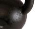 Imagem de Kettlebell de ferro polido para treinamento funcional 16 kg - rae fitness