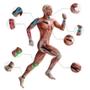 Imagem de Kinesio Taping Fita Adesiva Bandagem Fisioterapia Muscular 5m
