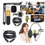 Imagem de Kit 02 Microfone Para Podcast Condensador Com Cabo 5 Metros XLR Balanceado 