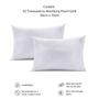Imagem de Kit 02 Travesseiros Altenburg Plumi Gold 180 Fios Toque de Plumas