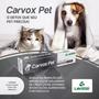 Imagem de Kit 03 Carvox Pet 14g Carvão Ativado Gel P/ Cães E Gatos