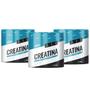 Imagem de Kit 03 Creatina Monohidratada Sem Sabor 300g Shark Pro