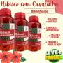 Imagem de KIT 03 Hibisco Com Cavalinha 120 Capsulas 500mg Fonte Vida