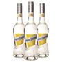 Imagem de Kit 03 Unidades Licor Marie Brizard Triple Sec 700Ml