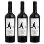 Imagem de Kit 03 Unidades Vinho Fausto de Pizzato Tannat 750ml