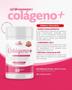 Imagem de Kit 04  Colágeno Hidrolisado + Ácido Hialurônico + Coenzima Q10 + Biotina 60 Cáps 500mg