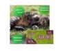 Imagem de Kit 05 Cat Nip Erva Do Gato Sachê 2 G Natural Pet Premium Care