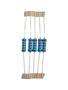 Imagem de Kit 05 resistor de precisão 10k 1% 2w