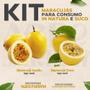 Imagem de Kit 06 Mudas de Maracujá Para Consumo