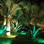 Imagem de Kit 1/2/3 Refletor Solar Jardim Super Led 200x Mais Forte Verde Amarelo Branco Verde Parede Gramado Spot Luminária