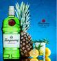 Imagem de Kit 1 Gin Tanqueray London Dry 750ml com 1 Isqueiro Cromado Tipo Zippo Personalizado Jack Daniel's